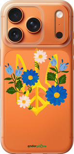 Силиконовый чехол Герб v3 для Apple iPhone 17 PRO MAX - 5265u-4029 изображение 