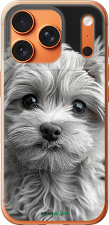 Силиконовый чехол Мальтипу на чорном фоне для Apple iPhone 17 PRO MAX - 6156u-4029 изображение 