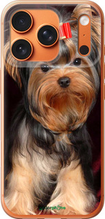 Силиконовый чехол Йоркширский терьер для Apple iPhone 17 PRO MAX - 929u-4029 изображение 