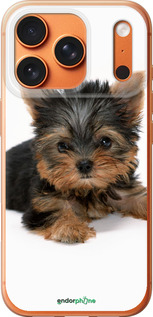 Силиконовый чехол Щенок йоркширского терьера для Apple iPhone 17 PRO MAX - 931u-4029 изображение 