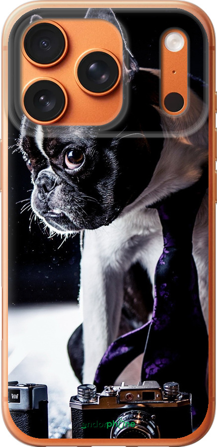Силиконовый чехол Бульдог-фотограф для Apple iPhone 17 PRO MAX - 142u-4029 изображение 