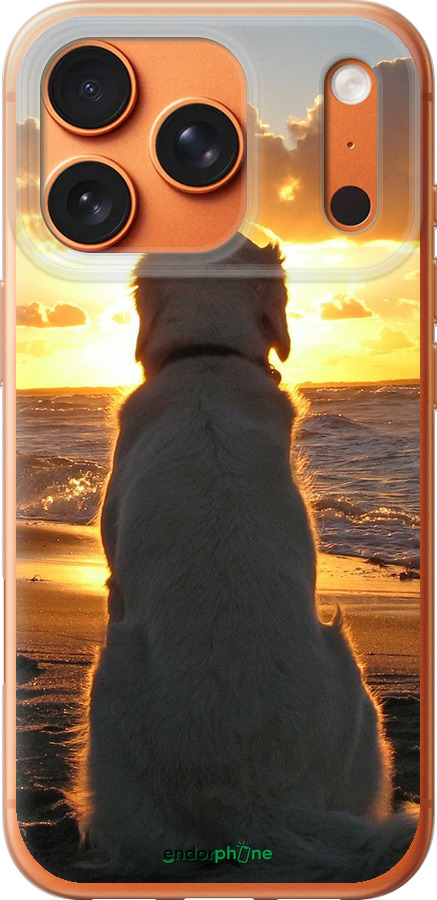 Силиконовый чехол Закат и собака для Apple iPhone 17 PRO MAX - 3966u-4029 изображение 