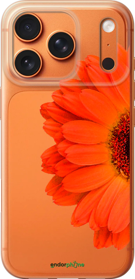 Силиконовый чехол Гербера 1 для Apple iPhone 17 PRO MAX - 4534u-4029 изображение 