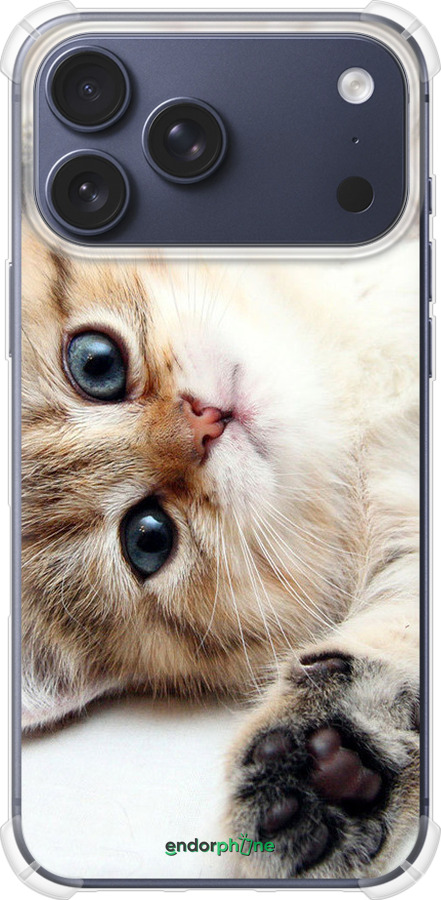 Силикон с усиленными углами чехол Котик для Apple iPhone 17 PRO - 6024sp-4030 изображение 