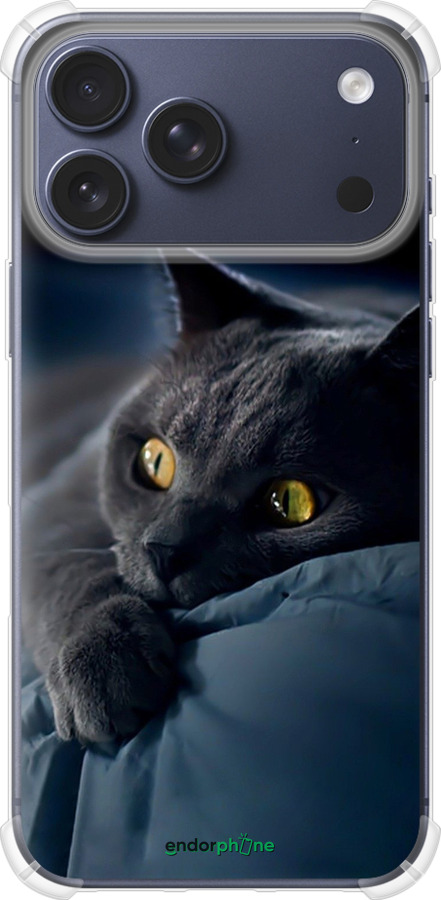 Силикон с усиленными углами чехол Дымчатый кот для Apple iPhone 17 PRO - 825sp-4030 изображение 