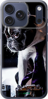 Силиконовый чехол Бульдог-фотограф для Apple iPhone 17 PRO - 142u-4030 изображение 