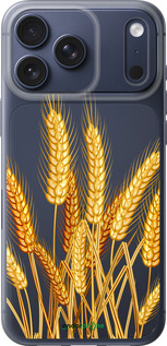 Силиконовый чехол Колоски пшеници для Apple iPhone 17 PRO - 5866u-4030 изображение 