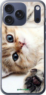 Силиконовый чехол Котик для Apple iPhone 17 PRO - 6024u-4030 изображение 