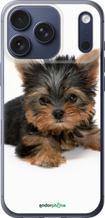 Силиконовый чехол Щенок йоркширского терьера для Apple iPhone 17 PRO - 931u-4030 изображение 