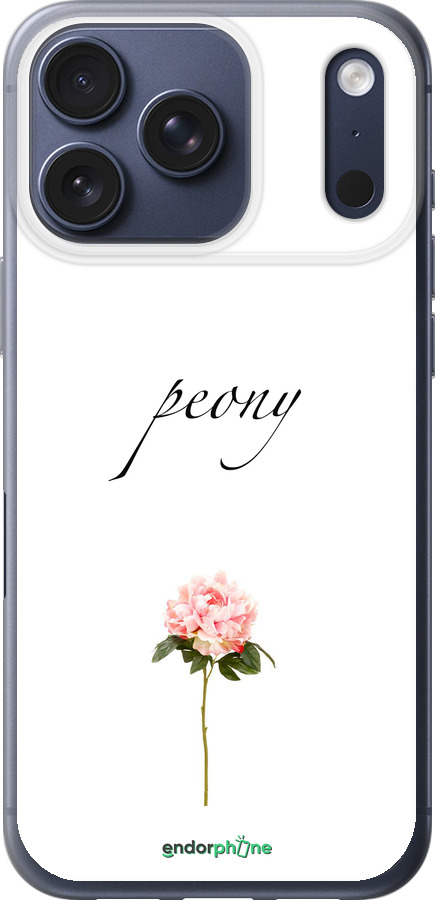 Силиконовый чехол Пион для Apple iPhone 17 PRO - 4366u-4030 изображение 