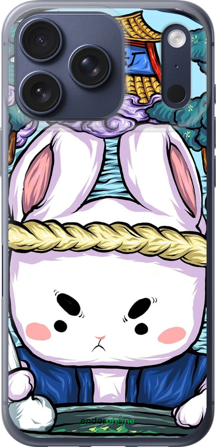 Силіконовий чехол № 5342 для Apple iPhone 17 PRO - 5342u-4030 изображение 