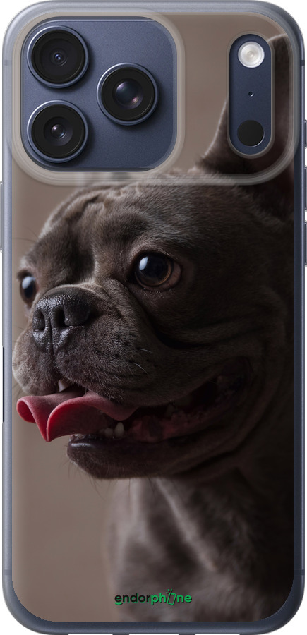 Силиконовый чехол Милый бульдог для Apple iPhone 17 PRO - 5546u-4030 изображение 