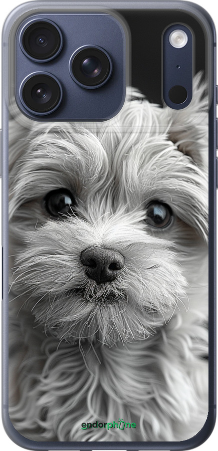 Силиконовый чехол Мальтипу на чорном фоне для Apple iPhone 17 PRO - 6156u-4030 изображение 