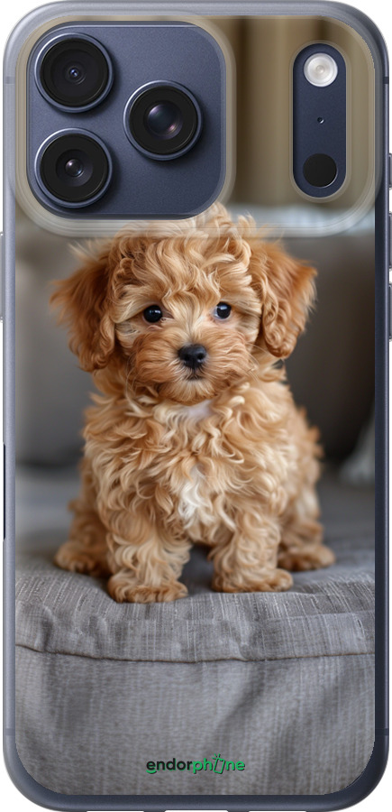 Силиконовый чехол Mini-maltipoo для Apple iPhone 17 PRO - 6158u-4030 изображение 