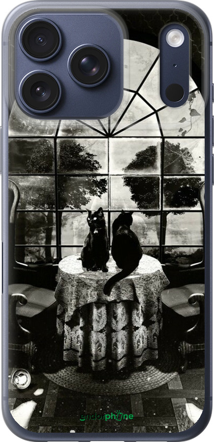 Силиконовый чехол Череп и коты для Apple iPhone 17 PRO - 6432u-4030 изображение 