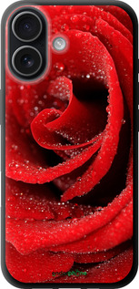 TPU чехол Червона троянда для Apple iPhone 17 - 529b-4031 изображение 