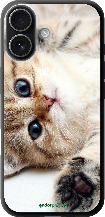 TPU чехол Котик для Apple iPhone 17 - 6024b-4031 изображение 