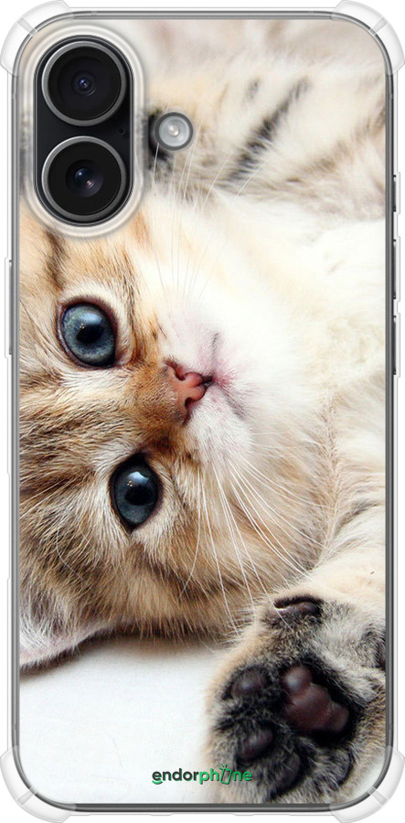 Силикон с усиленными углами чехол Котик для Apple iPhone 17 - 6024sp-4031 изображение 