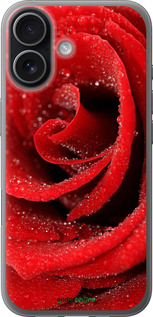 Силиконовый чехол Красная роза для Apple iPhone 17 - 529u-4031 изображение 