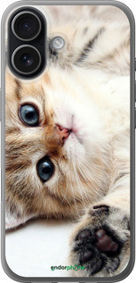 Силіконовий чехол Котик для Apple iPhone 17 - 6024u-4031 изображение 