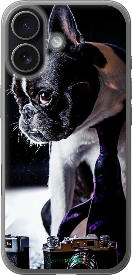 Силиконовый чехол Бульдог-фотограф для Apple iPhone 17 - 142u-4031 изображение 