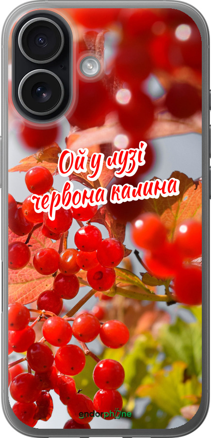 Силіконовий чехол Калина для Apple iPhone 17 - 5454u-4031 изображение 