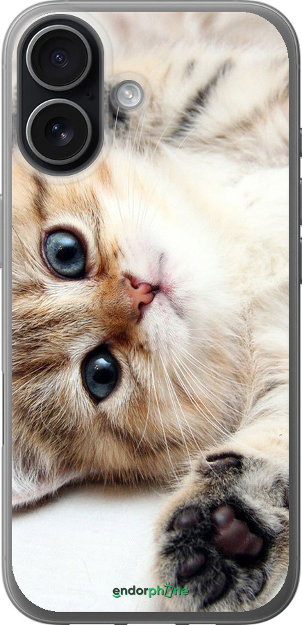 Силіконовий чехол Котик для Apple iPhone 17 - 6024u-4031 изображение 