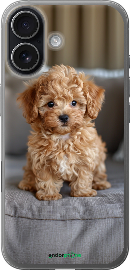 Силиконовый чехол Mini-maltipoo для Apple iPhone 17 - 6158u-4031 изображение 