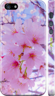 3D пластиковий матовий чехол Сакура для Apple iPhone 5 - 6029m-18 изображение 