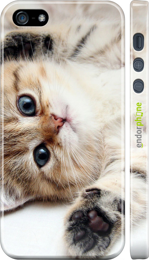 3D пластиковый матовый чехол Котик для Apple iPhone 5s - 6024m-21 изображение 