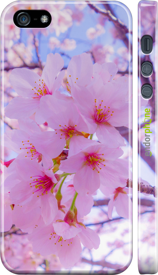 3D пластиковий матовий чехол Сакура для Apple iPhone 5 - 6029m-18 изображение 