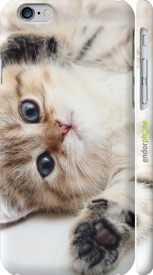 3D пластиковый глянцевый чехол Котик для Apple iPhone 6 - 6024c-45 изображение 
