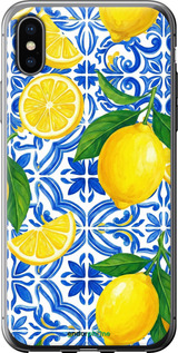 2D пластиковый чехол Grocery Girl Italian Summer для Apple iPhone X - 6766t-1050 изображение 