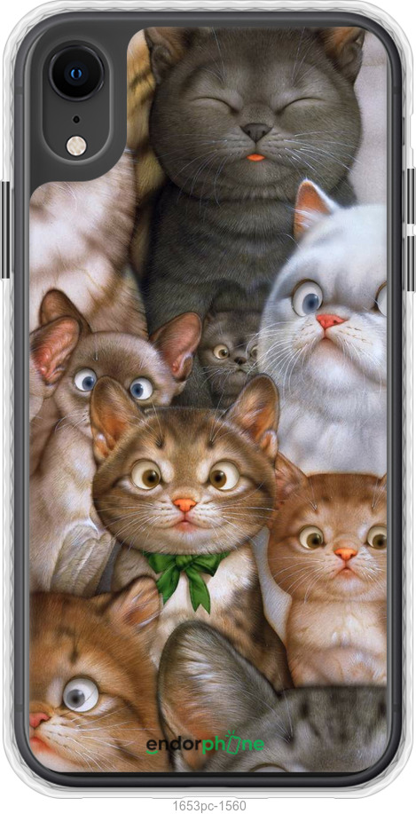 

Чохол Bumper чохол "Коти" для iPhone XR