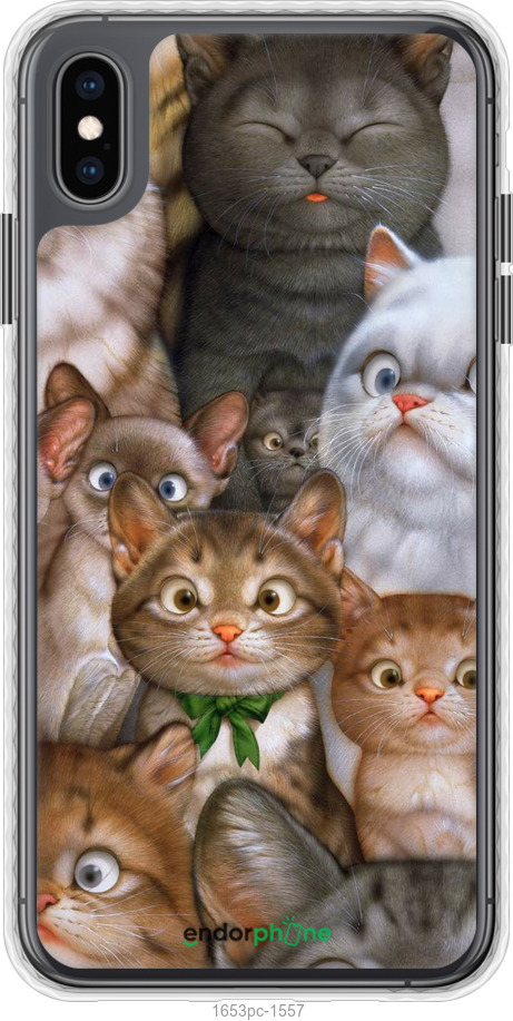 

Чохол Bumper чохол "Коти" для iPhone XS Max