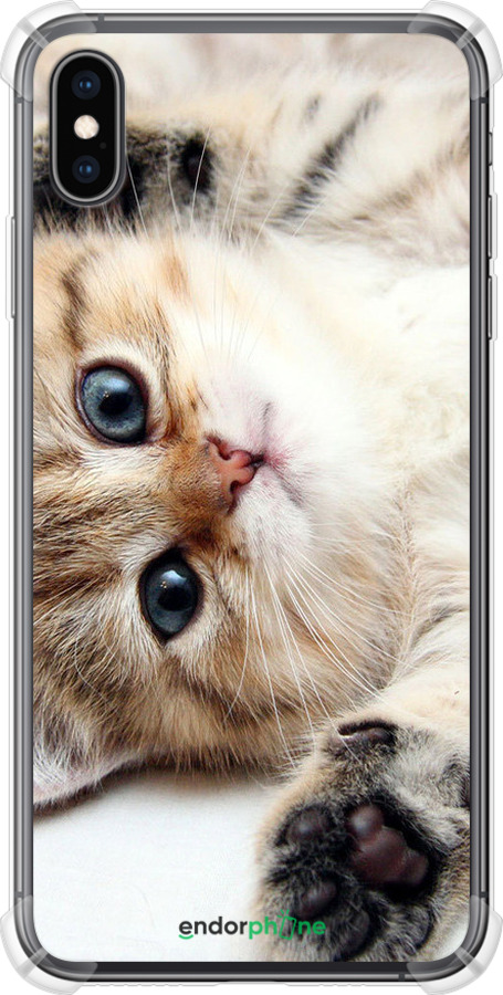 Силикон с усиленными углами чехол Котик для Apple iPhone XS Max - 6024sp-1557 изображение 