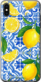 2D пластиковий чехол Grocery Girl Italian Summer для Apple iPhone XS Max - 6766t-1557 изображение 