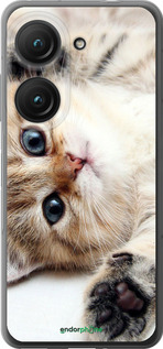 Силиконовый чехол Котик для Asus Zenfone 9 - 6024u-2842 изображение 