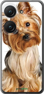 Силиконовый чехол Йоркширский терьер с хвостиком для Asus Zenfone 9 - 930u-2842 изображение 