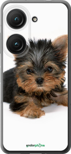 Силиконовый чехол Щенок йоркширского терьера для Asus Zenfone 9 - 931u-2842 изображение 