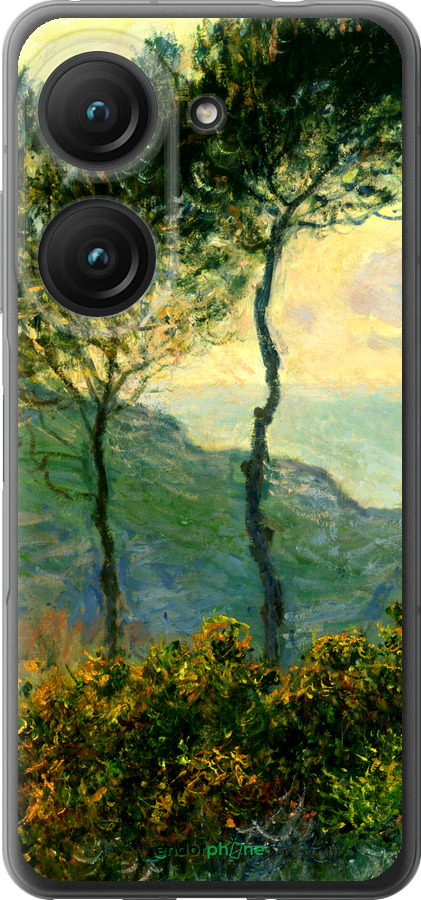 Силиконовый чехол Клод Моне для Asus Zenfone 9 - 1193u-2842 изображение 