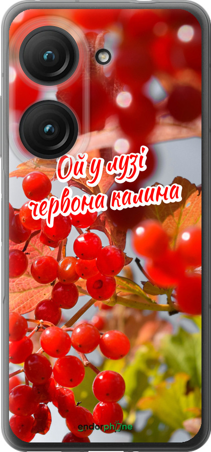 Силиконовый чехол Калина для Asus Zenfone 9 - 5454u-2842 изображение 