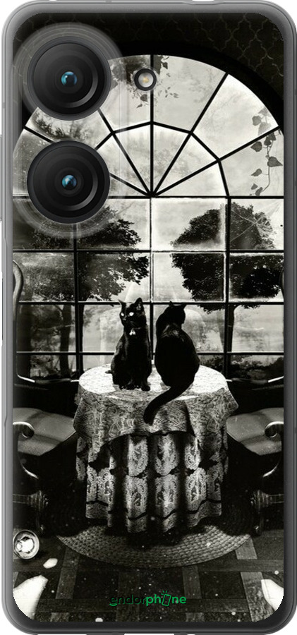 Силиконовый чехол Череп и коты для Asus Zenfone 9 - 6432u-2842 изображение 