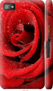 3D пластиковый глянцевый чехол Красная роза для Blackberry Z10 - 529c-392 изображение 