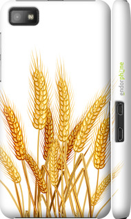 3D пластиковый глянцевый чехол Колоски пшеници для Blackberry Z10 - 5866c-392 изображение 