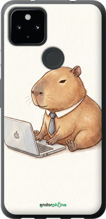 Силиконовый чехол Funny Capybara CEO Working для Google Pixel 4A 5G - 6777u-2867 изображение 
