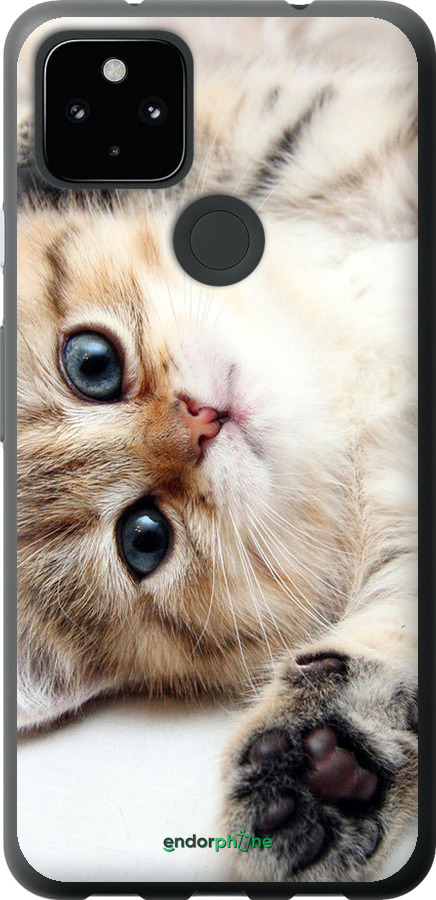 Силиконовый чехол Котик для Google Pixel 5 XL - 6024u-2033 изображение 