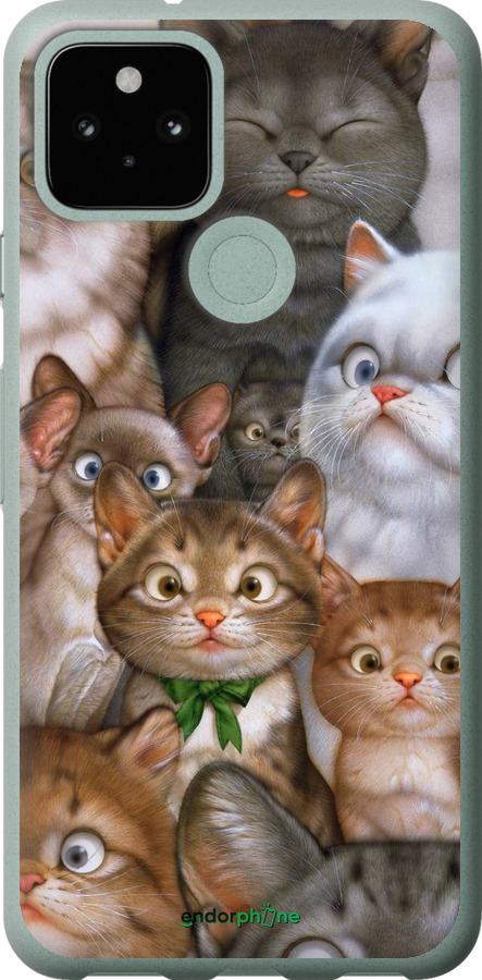 

2D пластиковий чохол "Коти" для Google Pixel 5