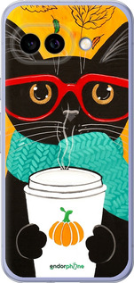 Силиконовый чехол Осенний кот для Google Pixel 9A - 4026u-3899 изображение 