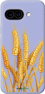 Силиконовый чехол Колоски пшеници для Google Pixel 9A - 5866u-3899 изображение 